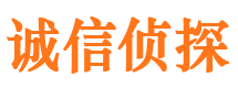 巢湖市私家侦探